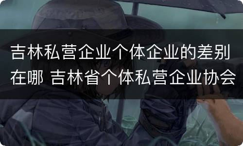 吉林私营企业个体企业的差别在哪 吉林省个体私营企业协会