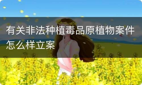 有关非法种植毒品原植物案件怎么样立案