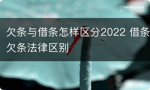 欠条与借条怎样区分2022 借条欠条法律区别