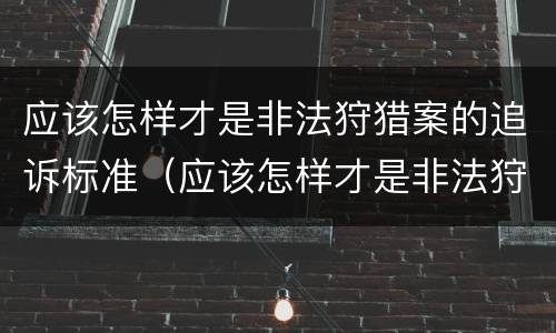 应该怎样才是非法狩猎案的追诉标准（应该怎样才是非法狩猎案的追诉标准呢）