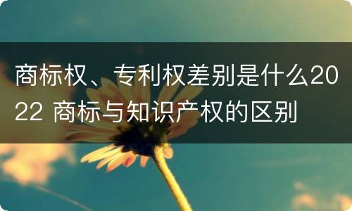 商标权、专利权差别是什么2022 商标与知识产权的区别