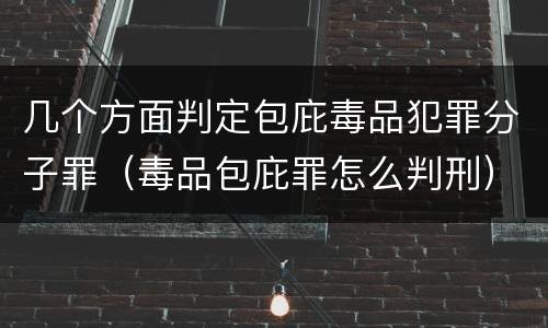 几个方面判定包庇毒品犯罪分子罪（毒品包庇罪怎么判刑）