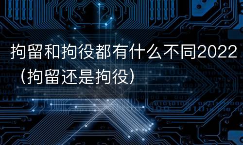 拘留和拘役都有什么不同2022（拘留还是拘役）