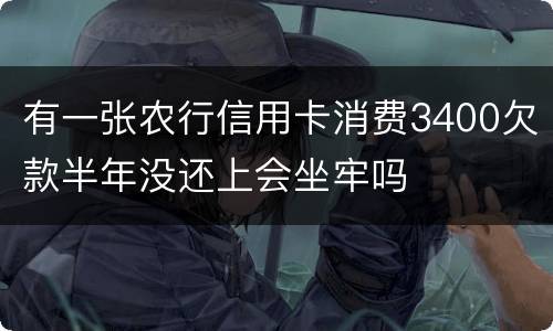 有一张农行信用卡消费3400欠款半年没还上会坐牢吗