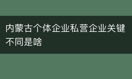 内蒙古个体企业私营企业关键不同是啥