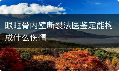 眼眶骨内壁断裂法医鉴定能构成什么伤情