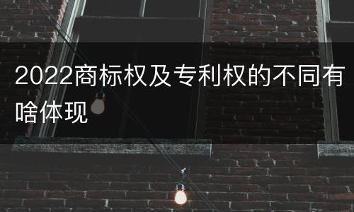 2022商标权及专利权的不同有啥体现