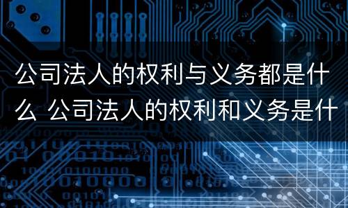 公司法人的权利与义务都是什么 公司法人的权利和义务是什么