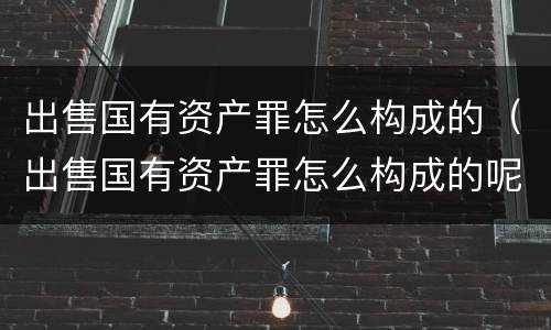 出售国有资产罪怎么构成的（出售国有资产罪怎么构成的呢）