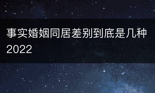 事实婚姻同居差别到底是几种2022