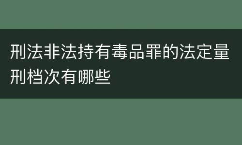 刑法非法持有毒品罪的法定量刑档次有哪些