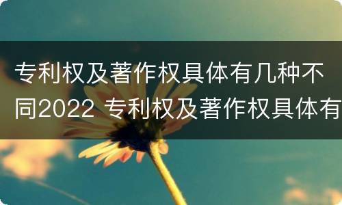 专利权及著作权具体有几种不同2022 专利权及著作权具体有几种不同2022年的