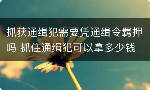 抓获通缉犯需要凭通缉令羁押吗 抓住通缉犯可以拿多少钱