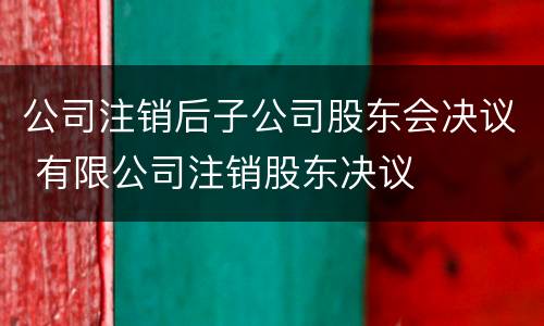 公司注销后子公司股东会决议 有限公司注销股东决议