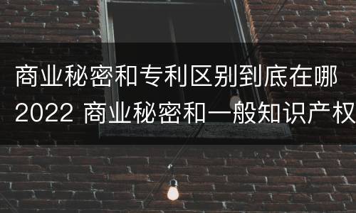 商业秘密和专利区别到底在哪2022 商业秘密和一般知识产权的区别