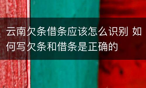 云南欠条借条应该怎么识别 如何写欠条和借条是正确的