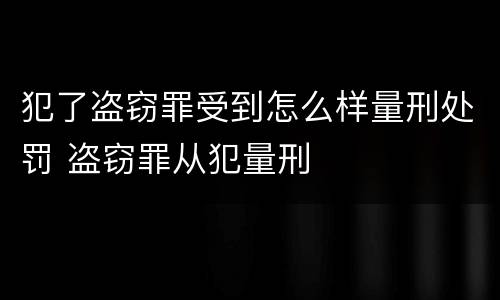 犯了盗窃罪受到怎么样量刑处罚 盗窃罪从犯量刑