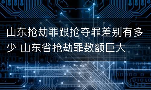 山东抢劫罪跟抢夺罪差别有多少 山东省抢劫罪数额巨大