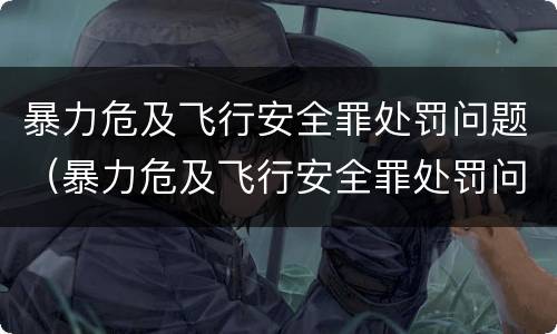 暴力危及飞行安全罪处罚问题（暴力危及飞行安全罪处罚问题研究）