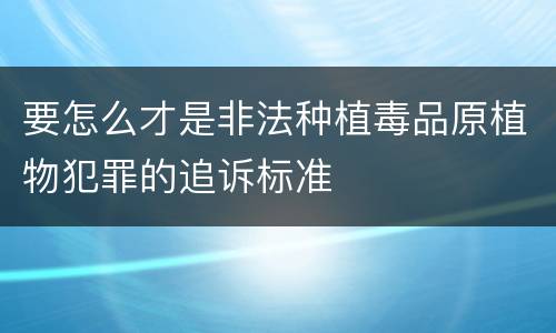 要怎么才是非法种植毒品原植物犯罪的追诉标准