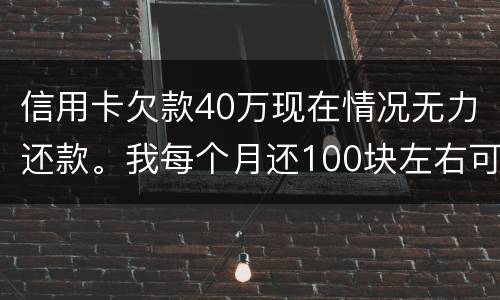 信用卡欠款40万现在情况无力还款。我每个月还100块左右可以吗