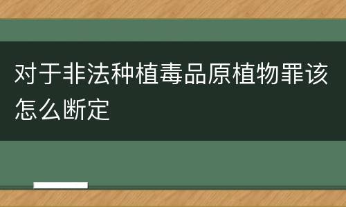 对于非法种植毒品原植物罪该怎么断定