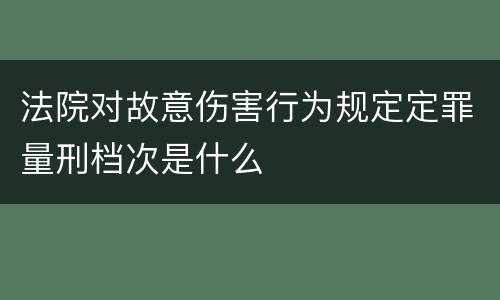 法院对故意伤害行为规定定罪量刑档次是什么