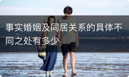 事实婚姻及同居关系的具体不同之处有多少