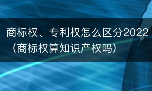 商标权、专利权怎么区分2022（商标权算知识产权吗）