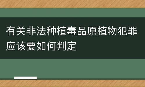 有关非法种植毒品原植物犯罪应该要如何判定