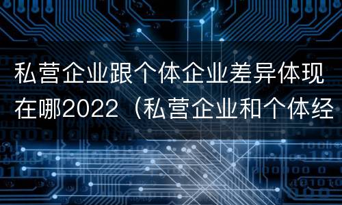 私营企业跟个体企业差异体现在哪2022（私营企业和个体经济的区别）