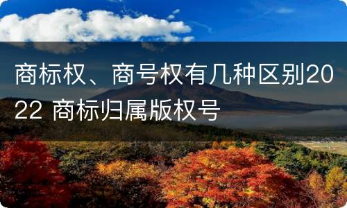 商标权、商号权有几种区别2022 商标归属版权号