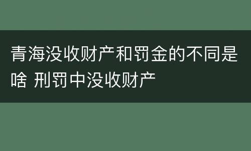 青海没收财产和罚金的不同是啥 刑罚中没收财产