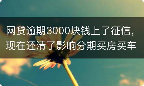 网贷逾期3000块钱上了征信，现在还清了影响分期买房买车么