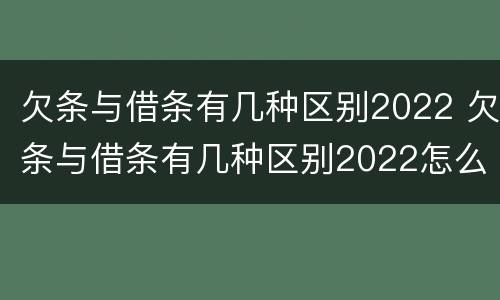 欠条与借条有几种区别2022 欠条与借条有几种区别2022怎么写