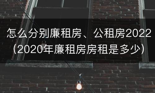 怎么分别廉租房、公租房2022（2020年廉租房房租是多少）