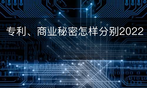 专利、商业秘密怎样分别2022