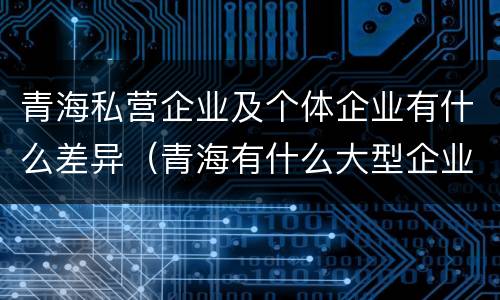 青海私营企业及个体企业有什么差异（青海有什么大型企业）