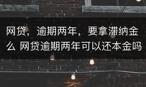 网贷，逾期两年，要拿滞纳金么 网贷逾期两年可以还本金吗