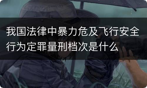 我国法律中暴力危及飞行安全行为定罪量刑档次是什么