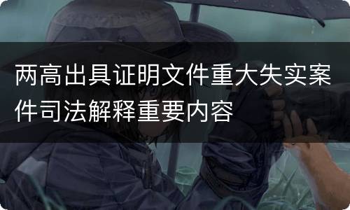 两高出具证明文件重大失实案件司法解释重要内容