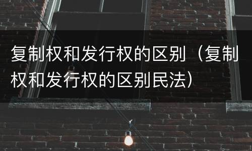 复制权和发行权的区别（复制权和发行权的区别民法）