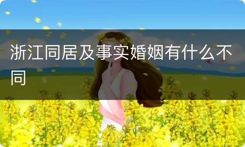 浙江同居及事实婚姻有什么不同