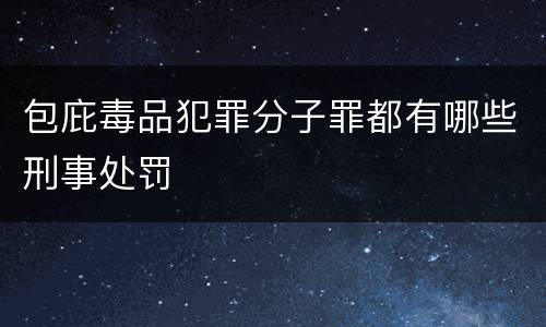 包庇毒品犯罪分子罪都有哪些刑事处罚