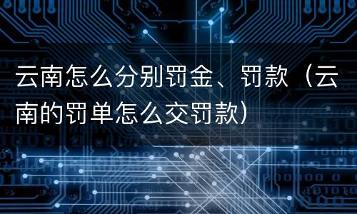 云南怎么分别罚金、罚款（云南的罚单怎么交罚款）