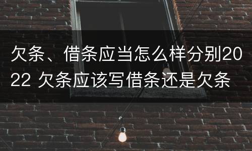 欠条、借条应当怎么样分别2022 欠条应该写借条还是欠条