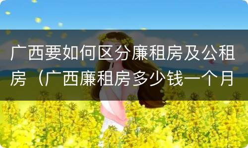 广西要如何区分廉租房及公租房（广西廉租房多少钱一个月）