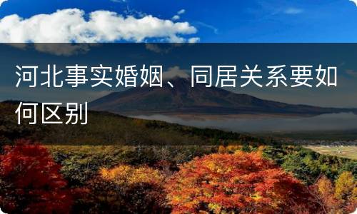 河北事实婚姻、同居关系要如何区别