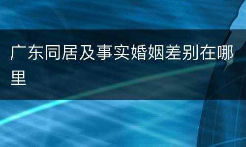 广东同居及事实婚姻差别在哪里