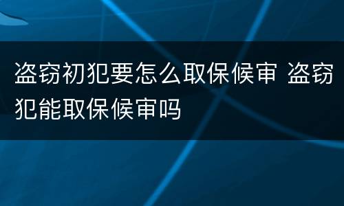 盗窃初犯要怎么取保候审 盗窃犯能取保候审吗